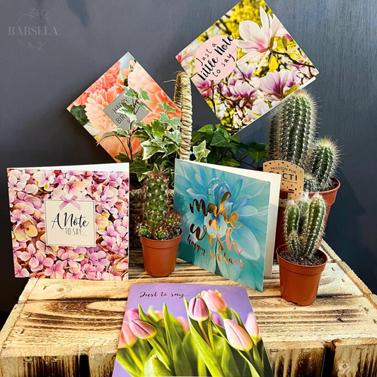 Elegant greeting cards with cacti and plants, available from Beckenham flowers shop near me