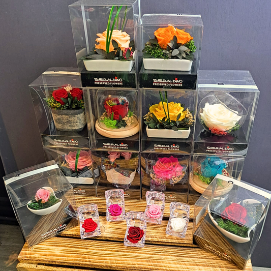 Collection of various preserved flower arrangements in clear display cases by Smeraldino, featuring a variety of rose colors including red, orange, yellow, and white