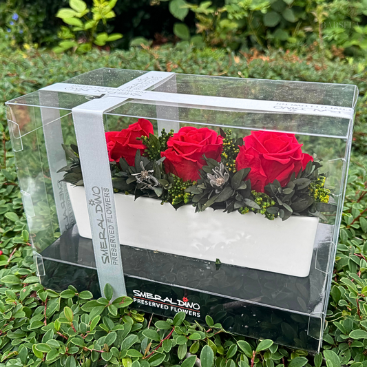 Box of preserved red roses in a clear display case with greenery accents, labeled 'Smeraldino Preserved Flowers